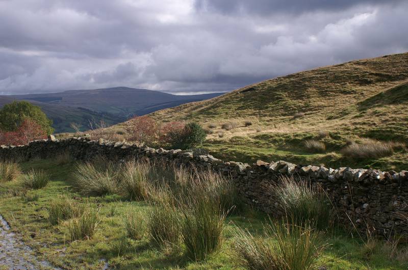 Under Combe Scar. 